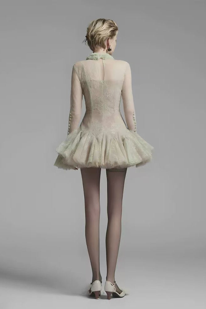 Embroidered Flared long sleeve Mini Dress