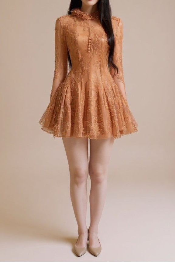 Embroidered Flared long sleeve Mini Dress