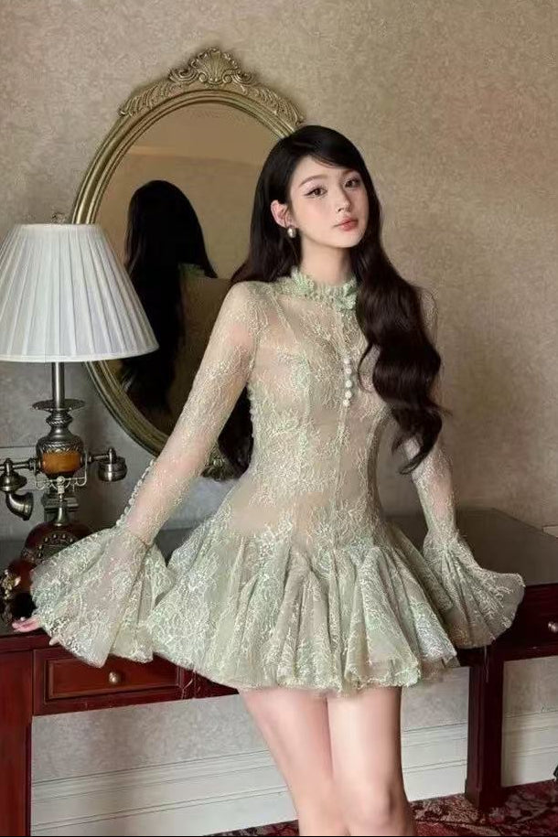 Embroidered Flared long sleeve Mini Dress