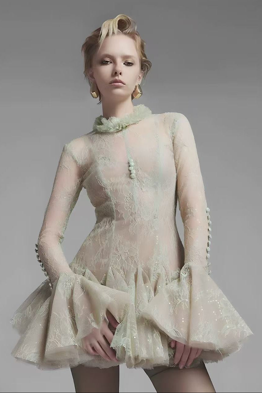 Embroidered Flared long sleeve Mini Dress