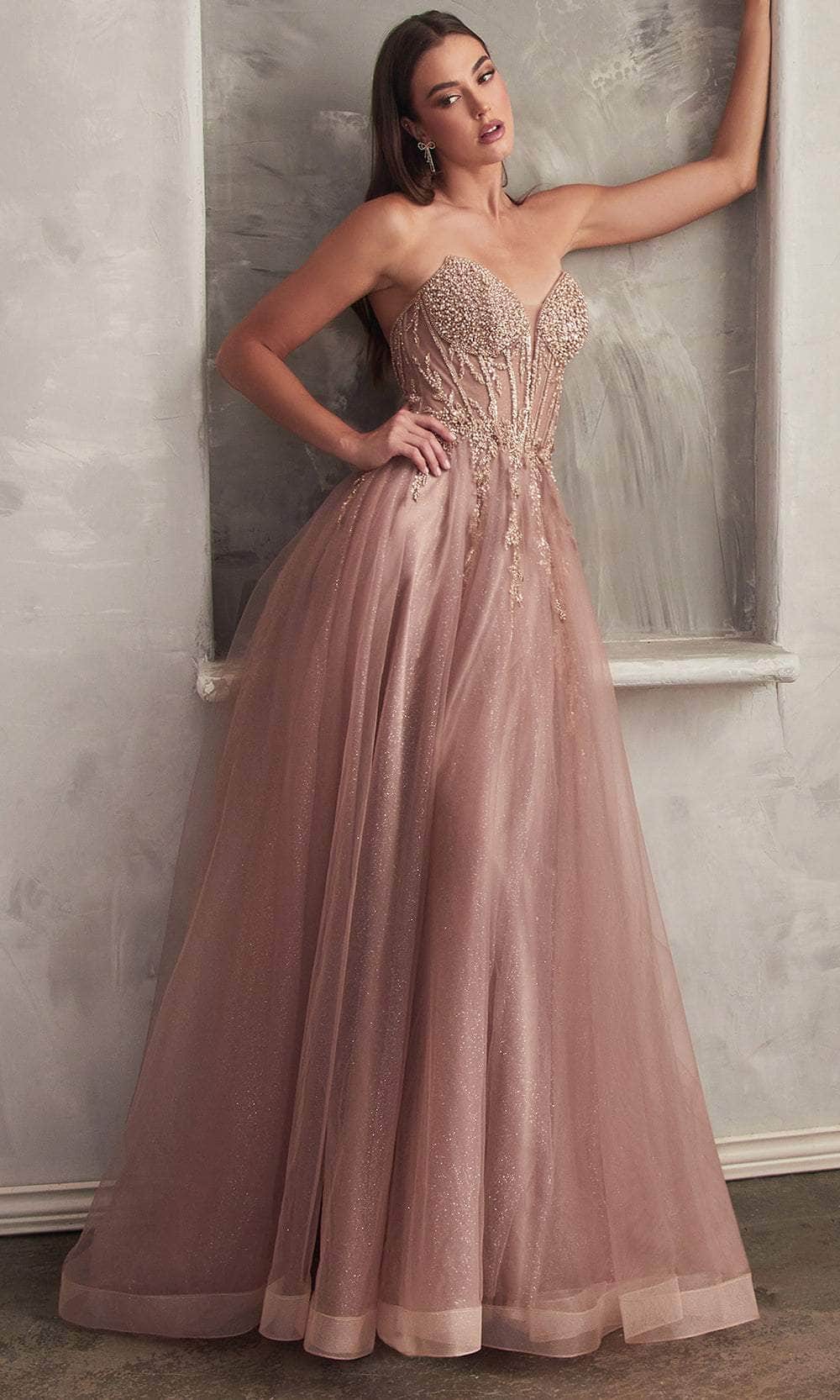 Ladivine  Beaded Appliqued A-Line Prom Gown